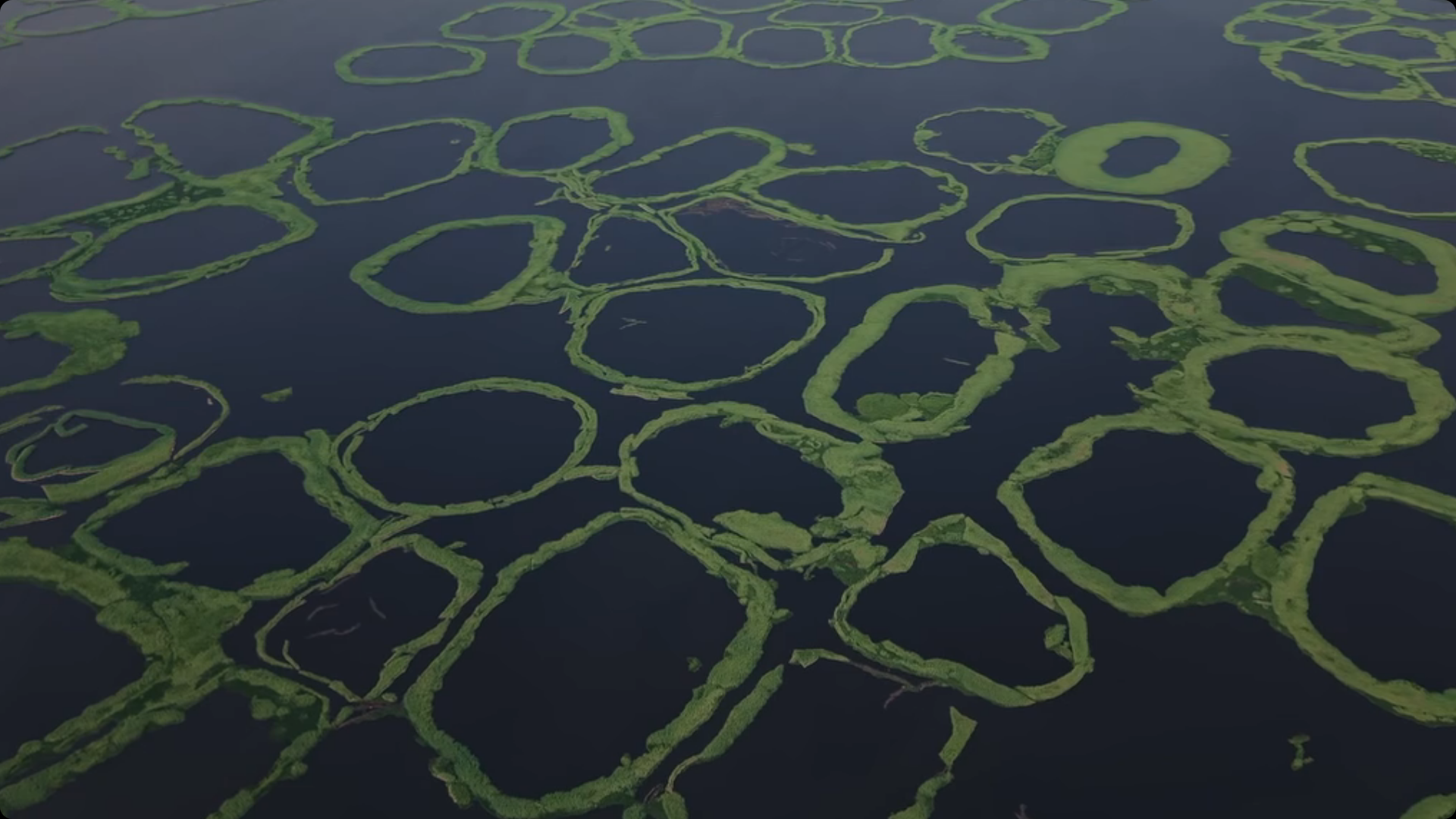 The Quiet Beauty of the Interior: Ayomide Ilesanmi's Aerial View of the Lagoons and Estuaries of Ogun StateArticle Image