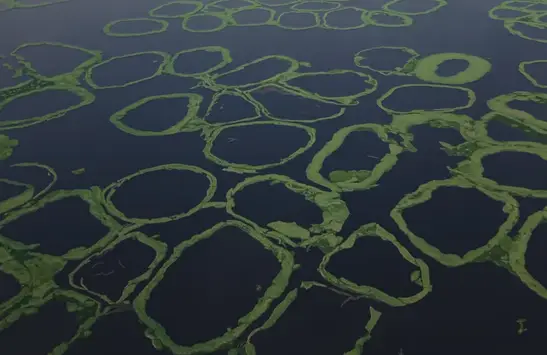 The Quiet Beauty of the Interior: Ayomide Ilesanmi's Aerial View of the Lagoons and Estuaries of Ogun StateArticle Image
