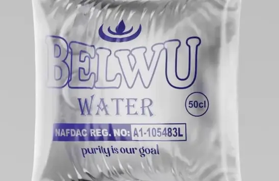 The Visual Language of Lagos: Inside Seyi Olusanya’s ‘You Get Pure Water’Article Image