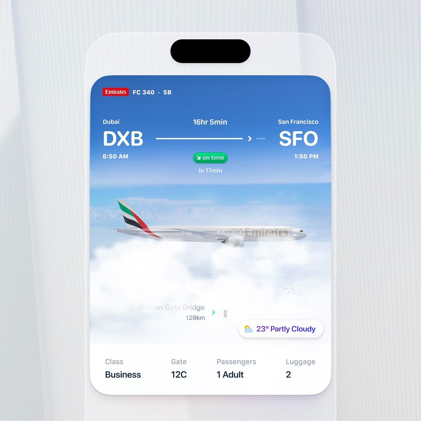 iOS Flight App WidgetArticle Image