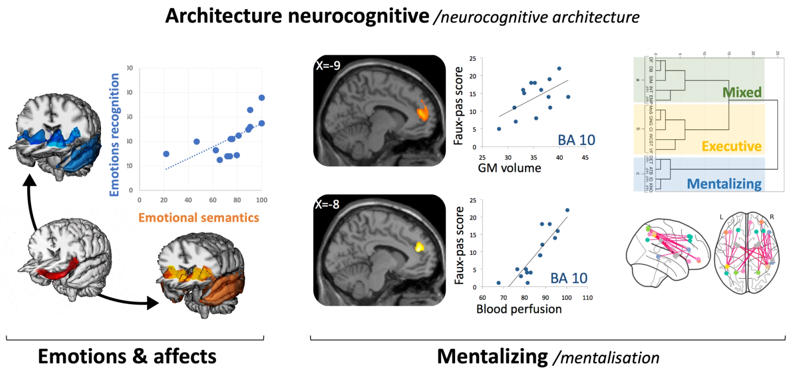 Emotions, affects, mentalisation, théorie de l'esprit