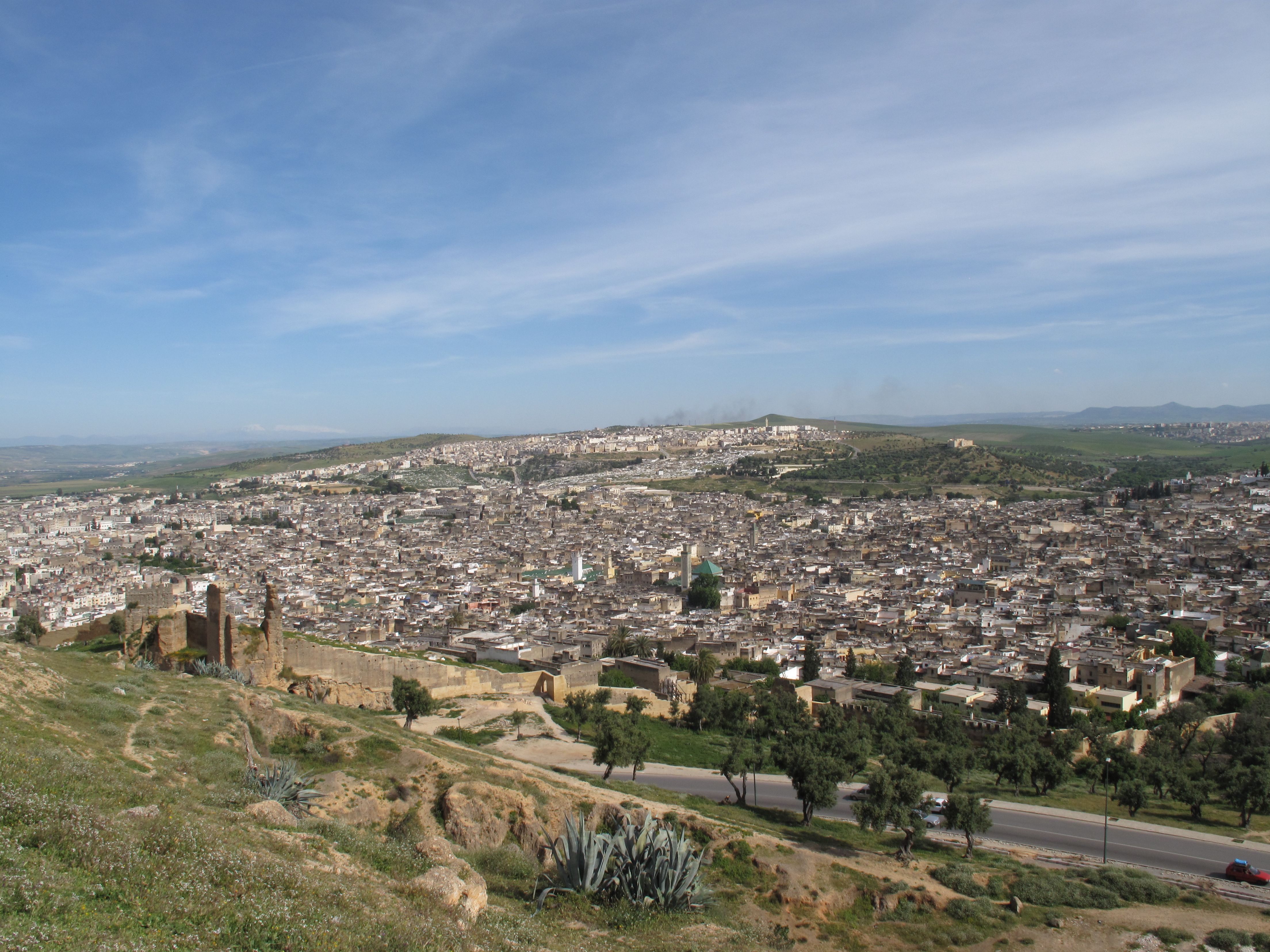 Panoramic view of the Fez medina, its tightly packed rooftops stretching as far as the eye can see