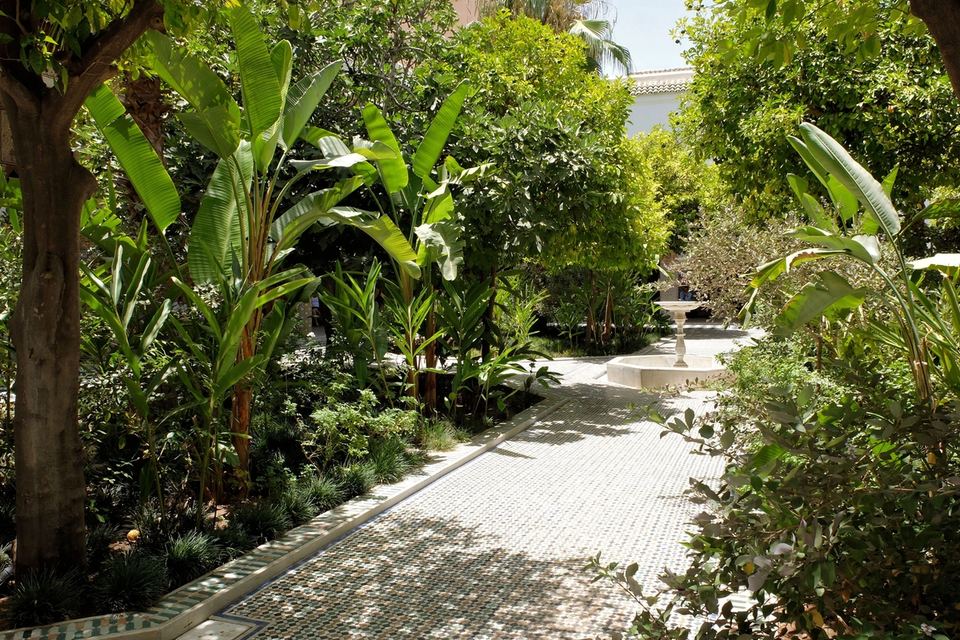 Jardin de riad en parterres plantés autour d'une vasque, cour de Dar el Bacha, Marrakech