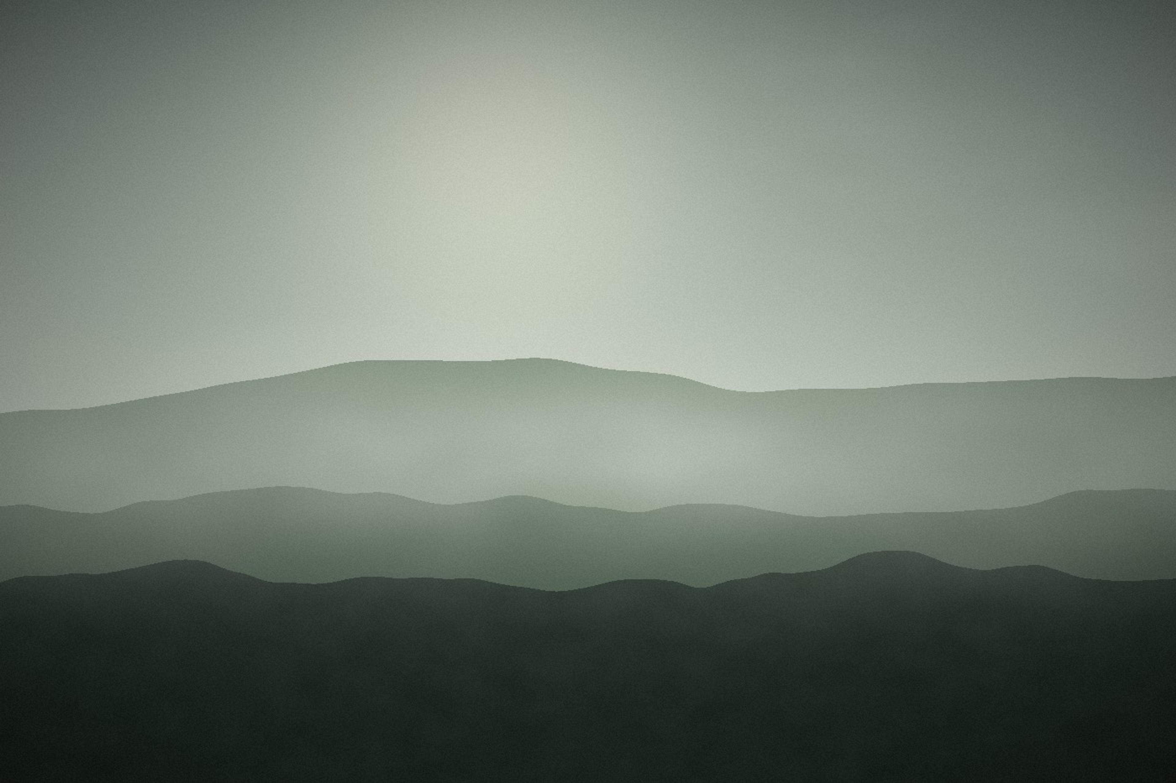 Forest Mist