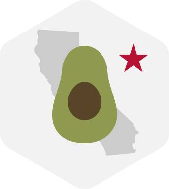 California Keto diet type illustration