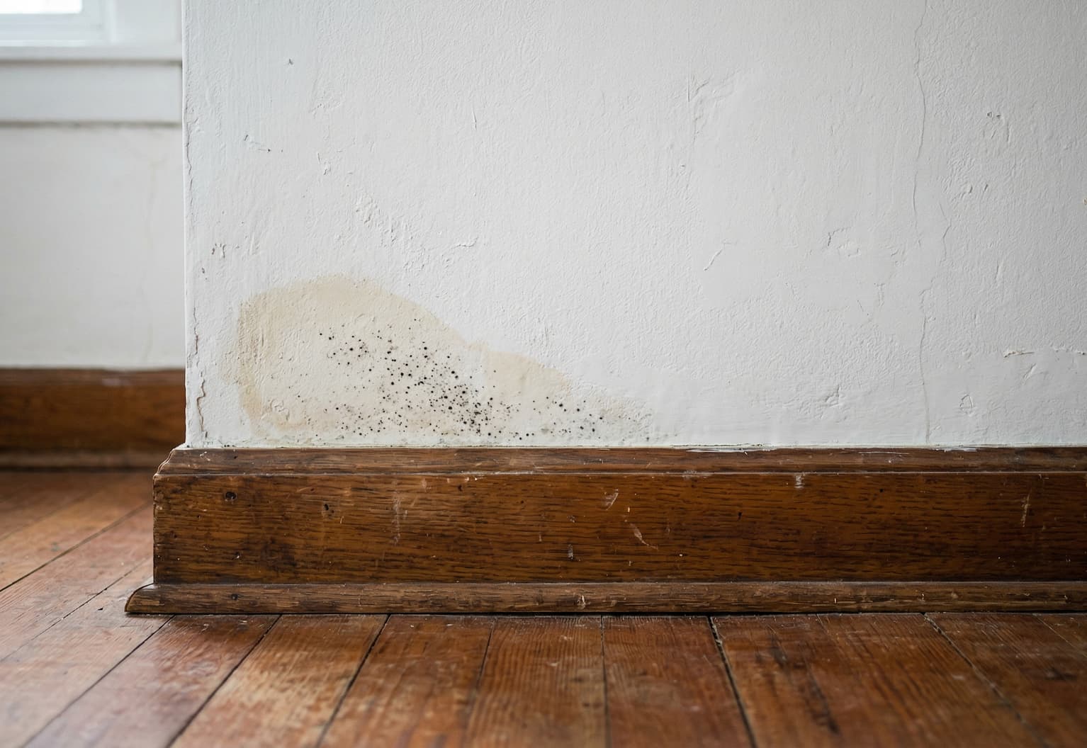 Macchia di umidità con puntini di muffa nell'angolo della parete sopra un battiscopa in legno, tipico segno di umidità di risalita o scarsa aerazione.