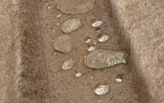 Trattamento protettivo per Bioedilizia