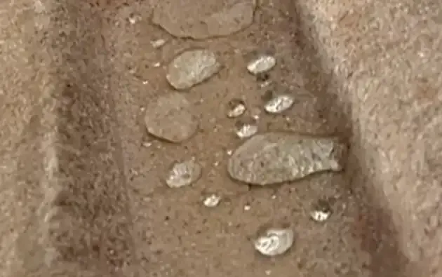 Trattamento protettivo per Bioedilizia