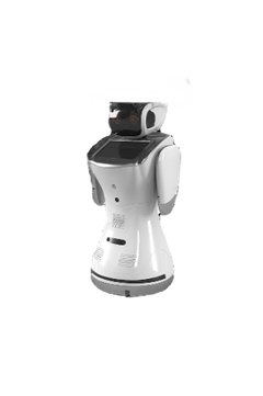 Sanbot Elf