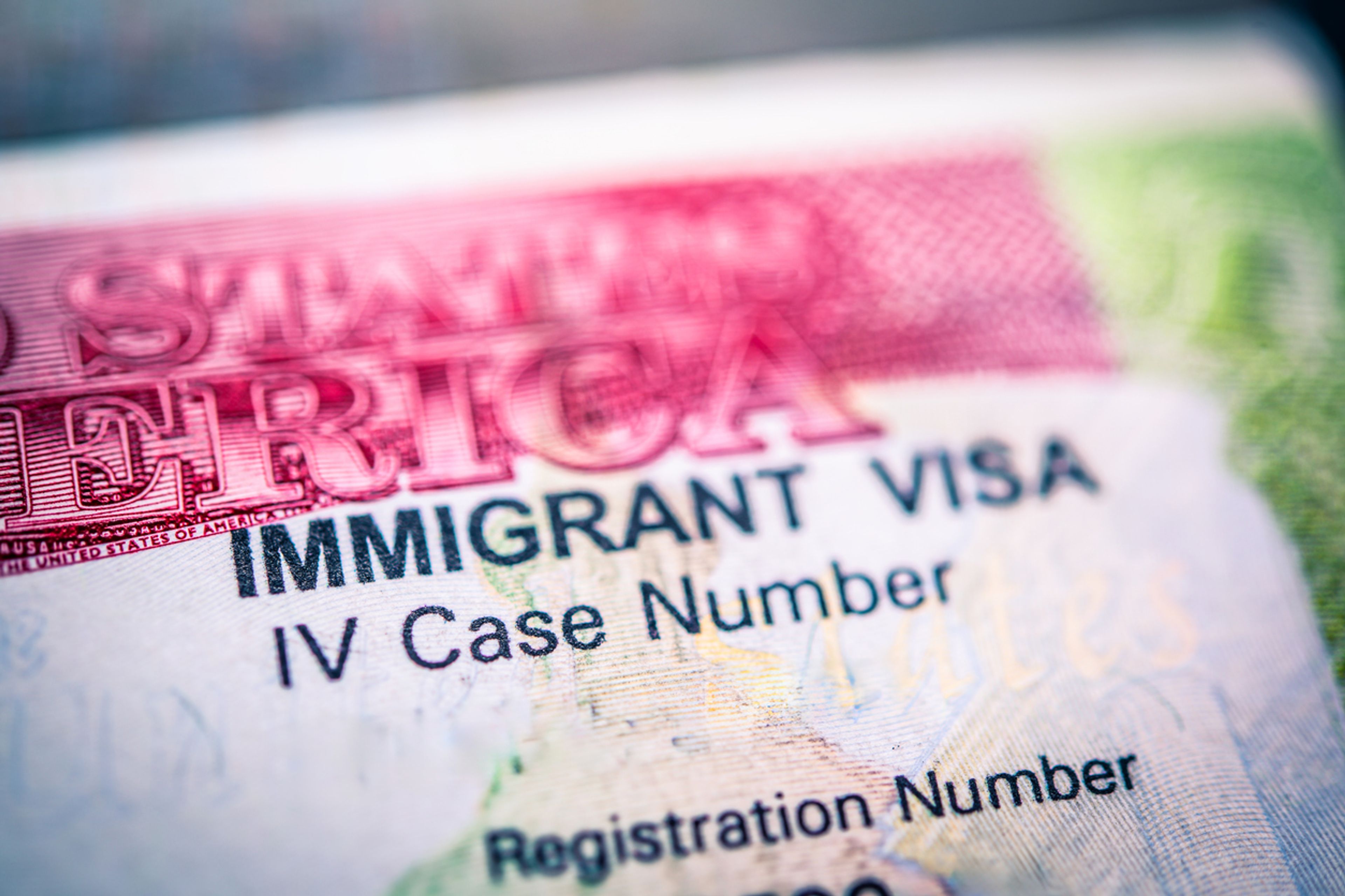 Detailed view of a U.S. immigrant visa showcasing registration number, and identification information.
