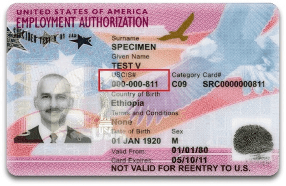 USCIS EAD
