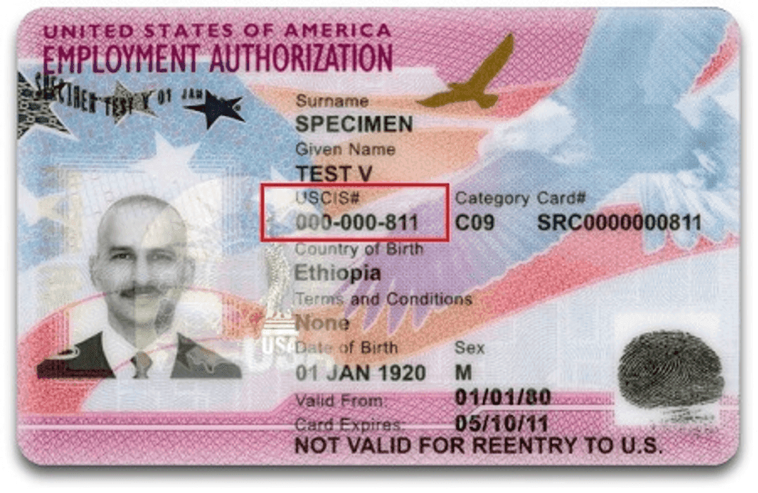 USCIS EAD
