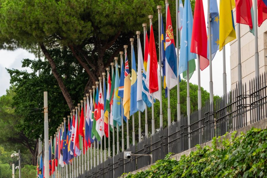 Row of international flags by trees