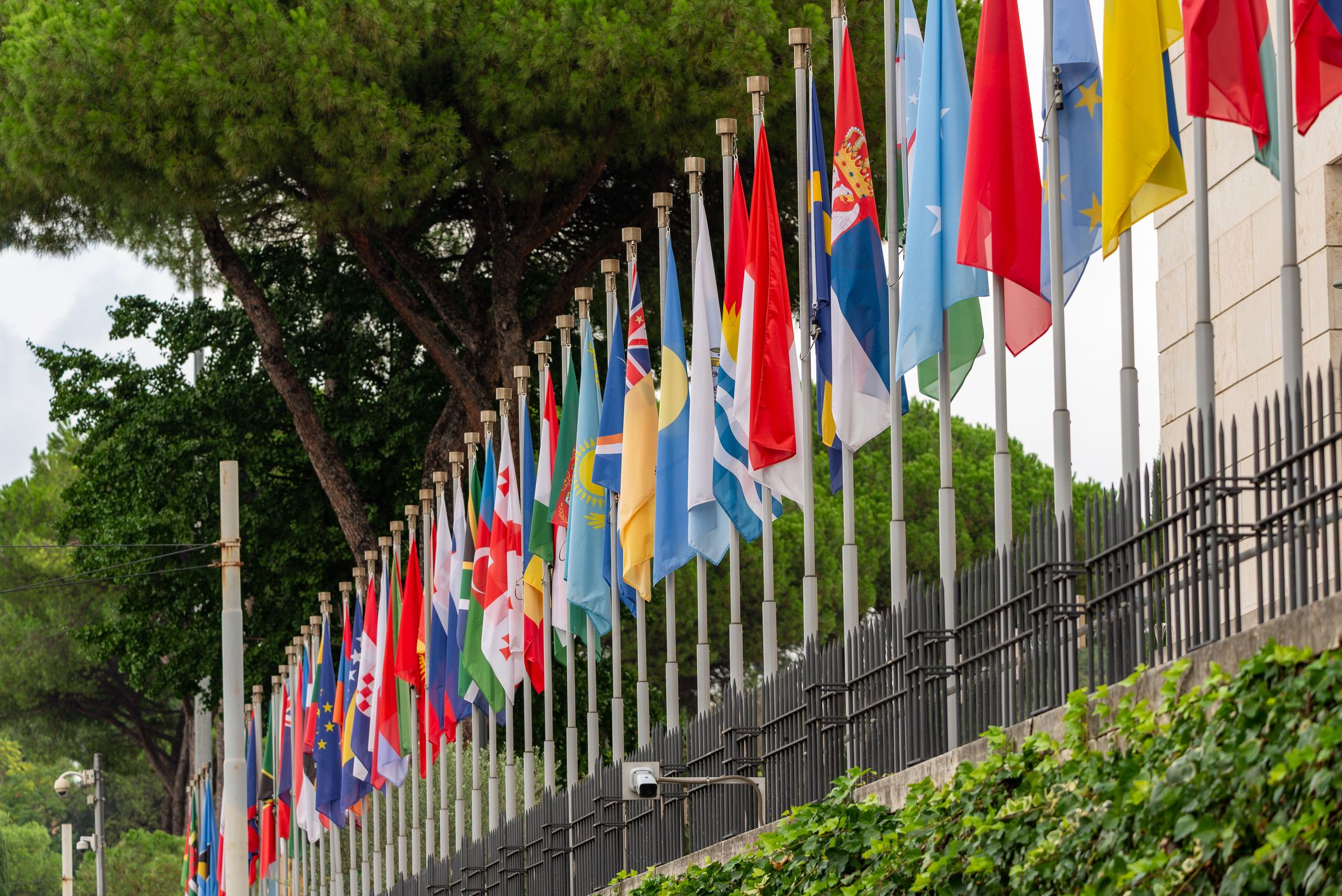 Row of international flags by trees