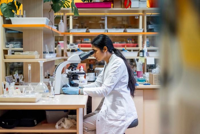 A young South Asian woman scientist in a white lab coat looks through a microscope in a research laboratory.
