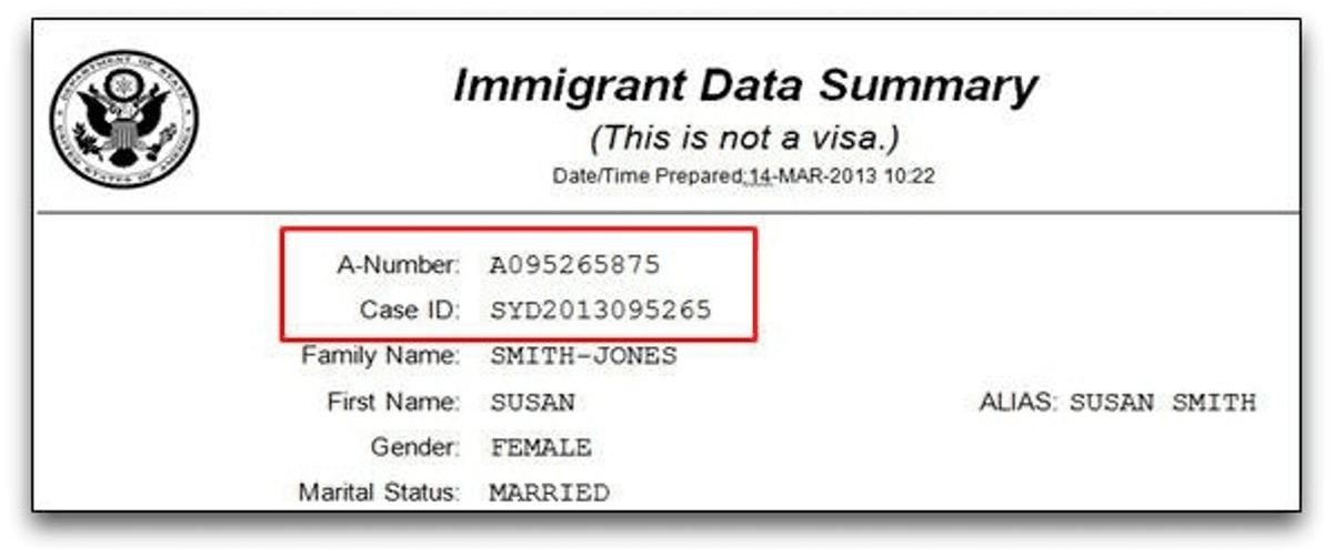 Immigrant Data Summary