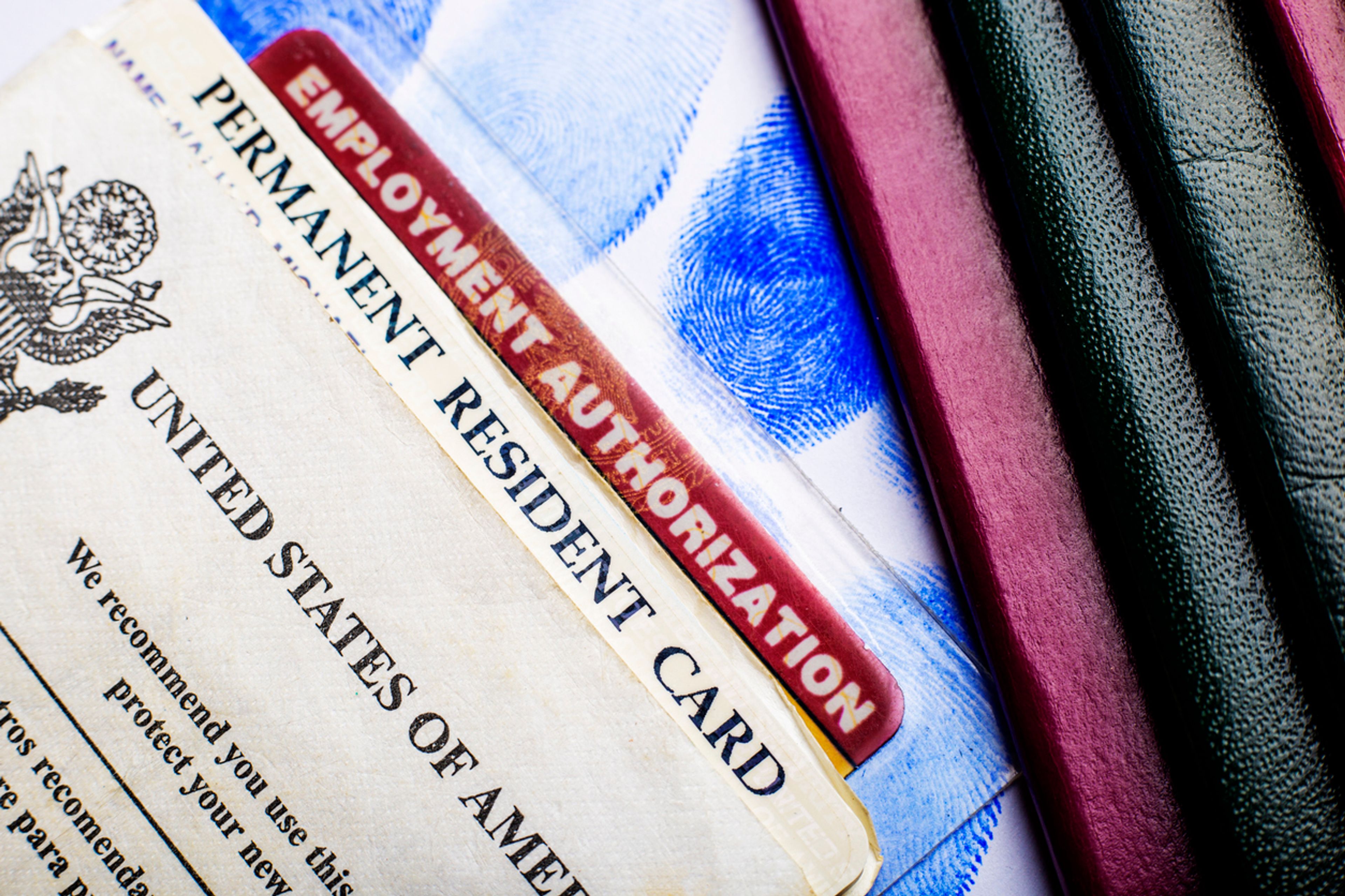 A closeup of a U.S. permanent resident card and an Employment Authorization Card