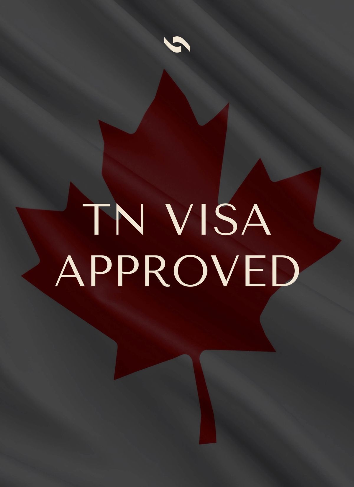 TN Visa Approved for Management Consultant