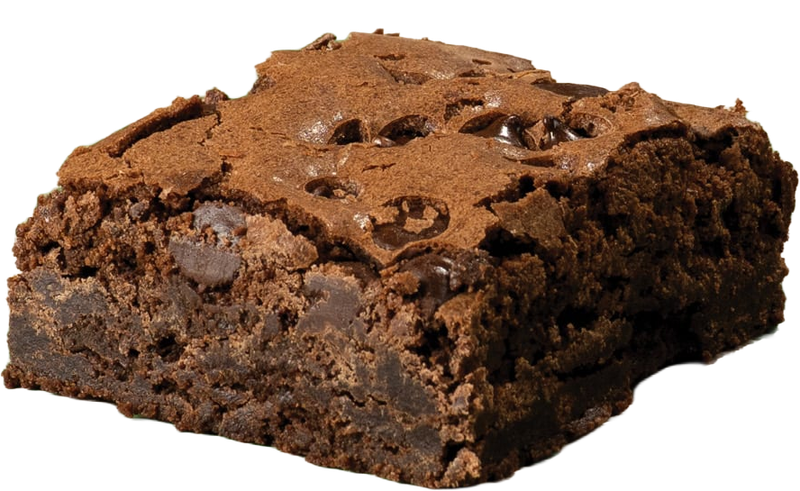Brownie dessert with pure melted chocolate and chocolate chips.