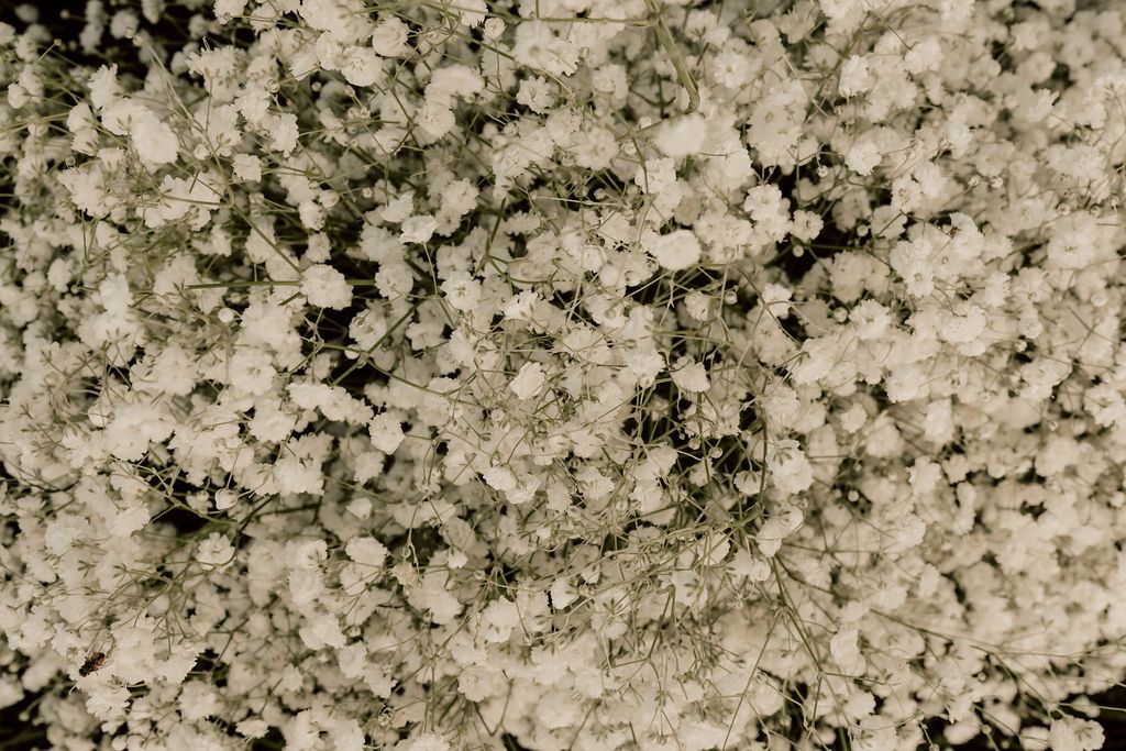 Columbus Ohio Wedding Florist