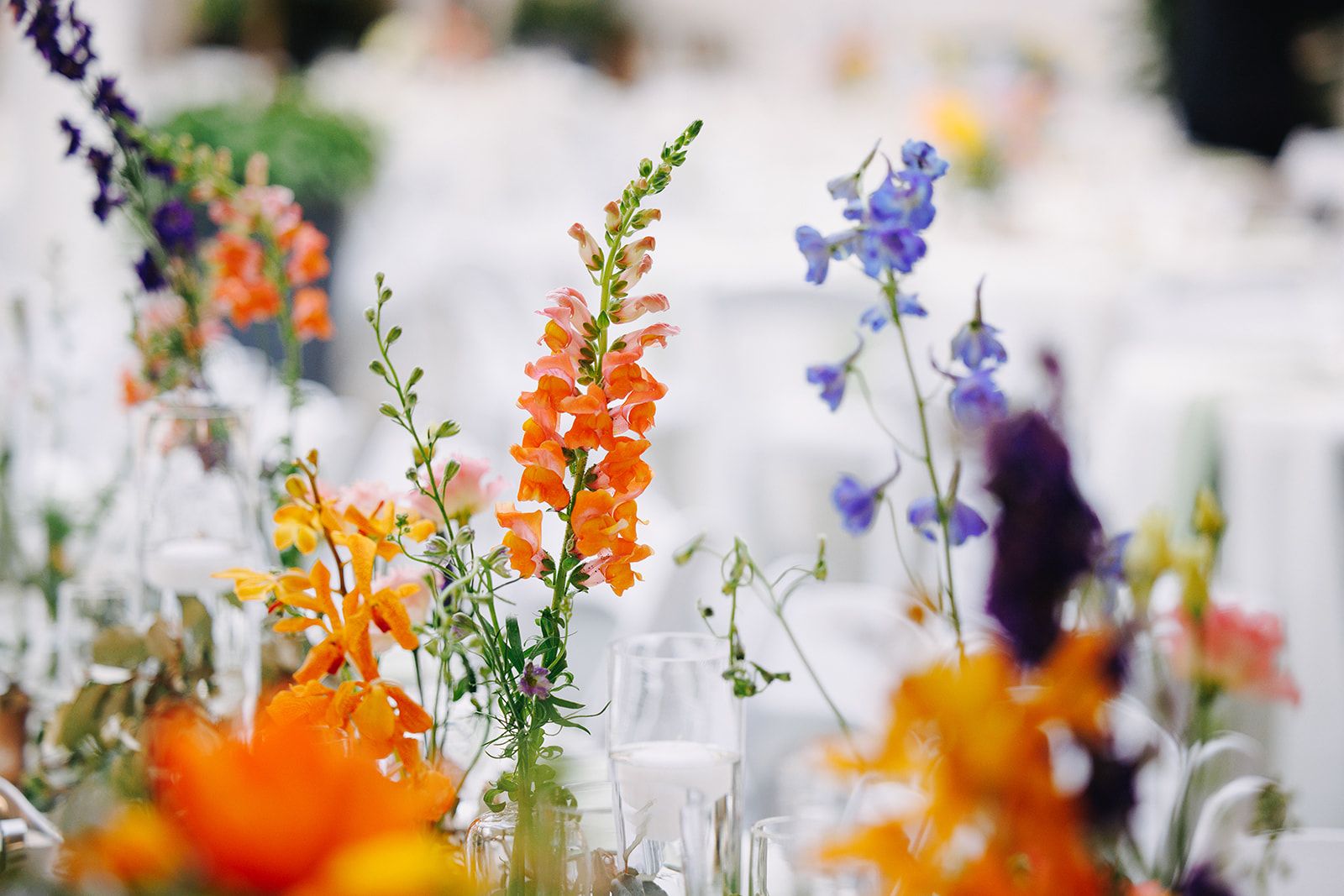 Franklin Park Conservatory Wedding Florist