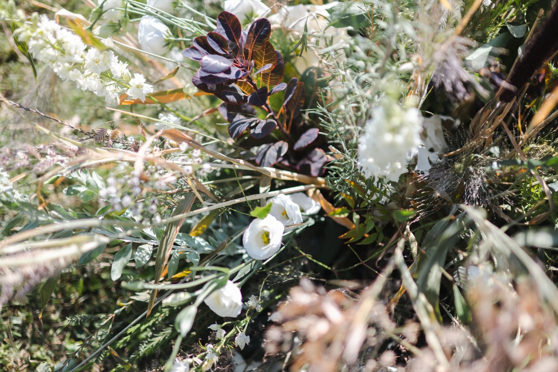 smoke bush and grassy textural arrangements