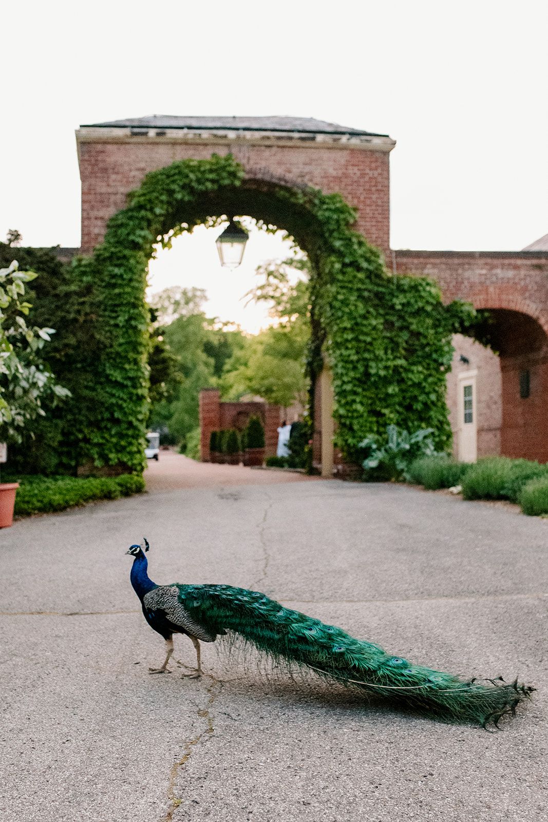 Kingwood Center Gardens