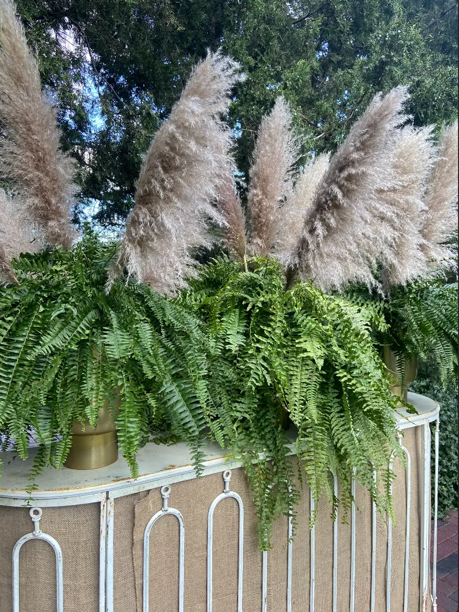 Columbus Ohio Wedding Flowers