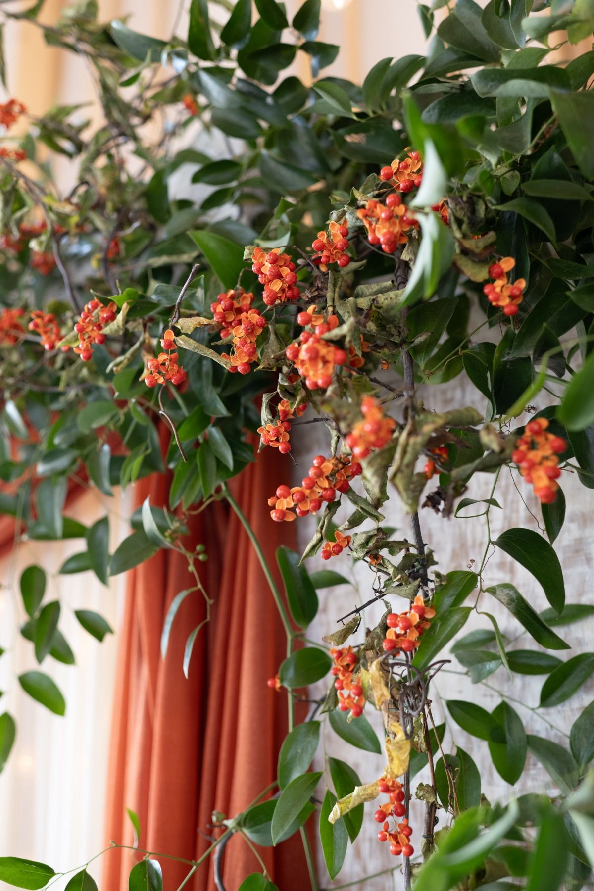 bittersweet wedding backdrop