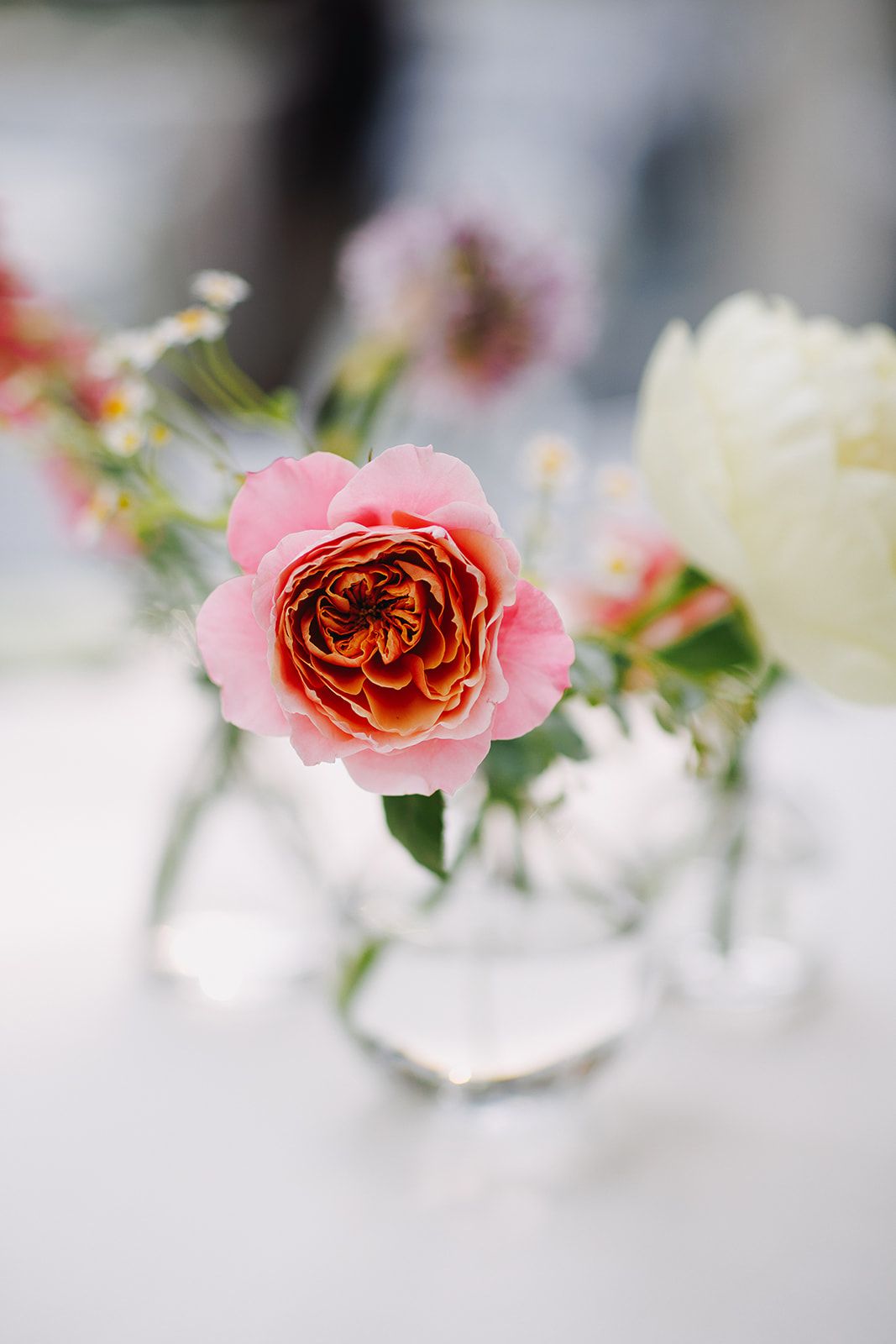 Franklin Park Conservatory Wedding Florist