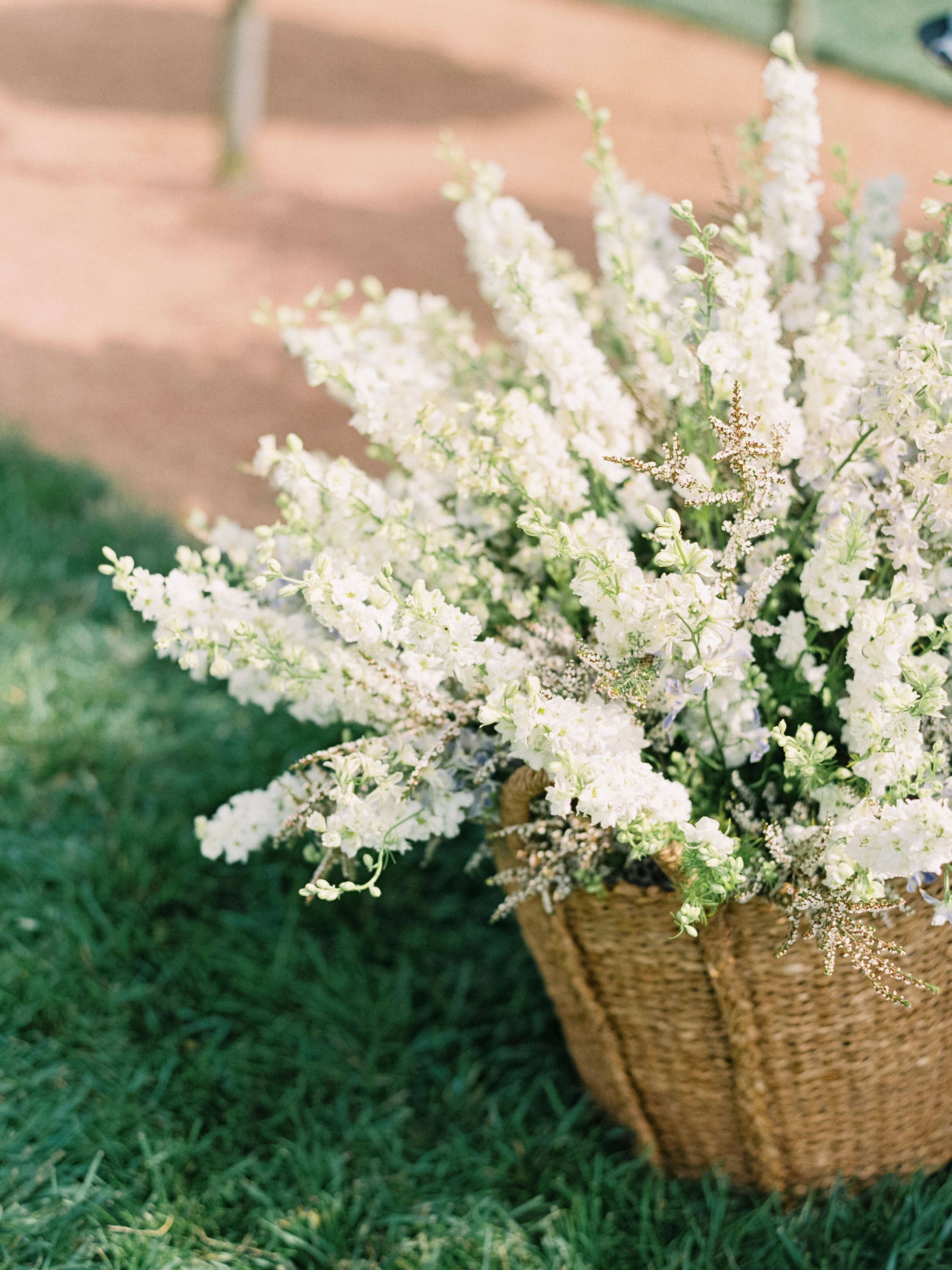 larkspur in basket