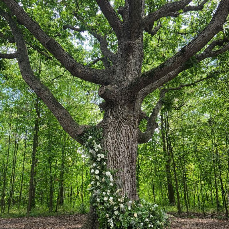 natural floral installation on tree columbus ohio wedding florist