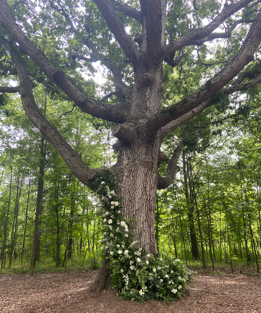 natural floral installation on tree columbus ohio wedding florist