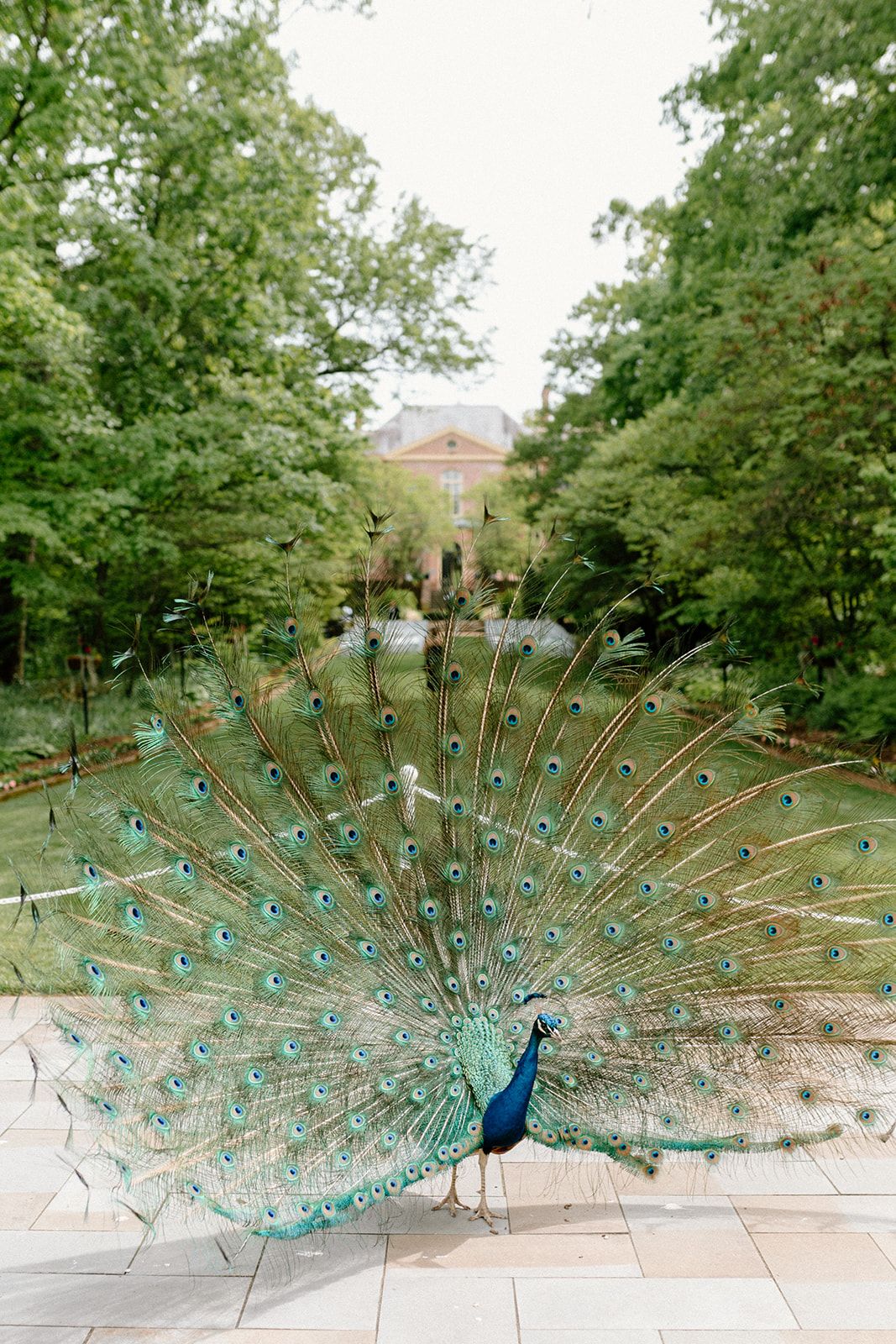 Kingwood Center Gardens Wedding