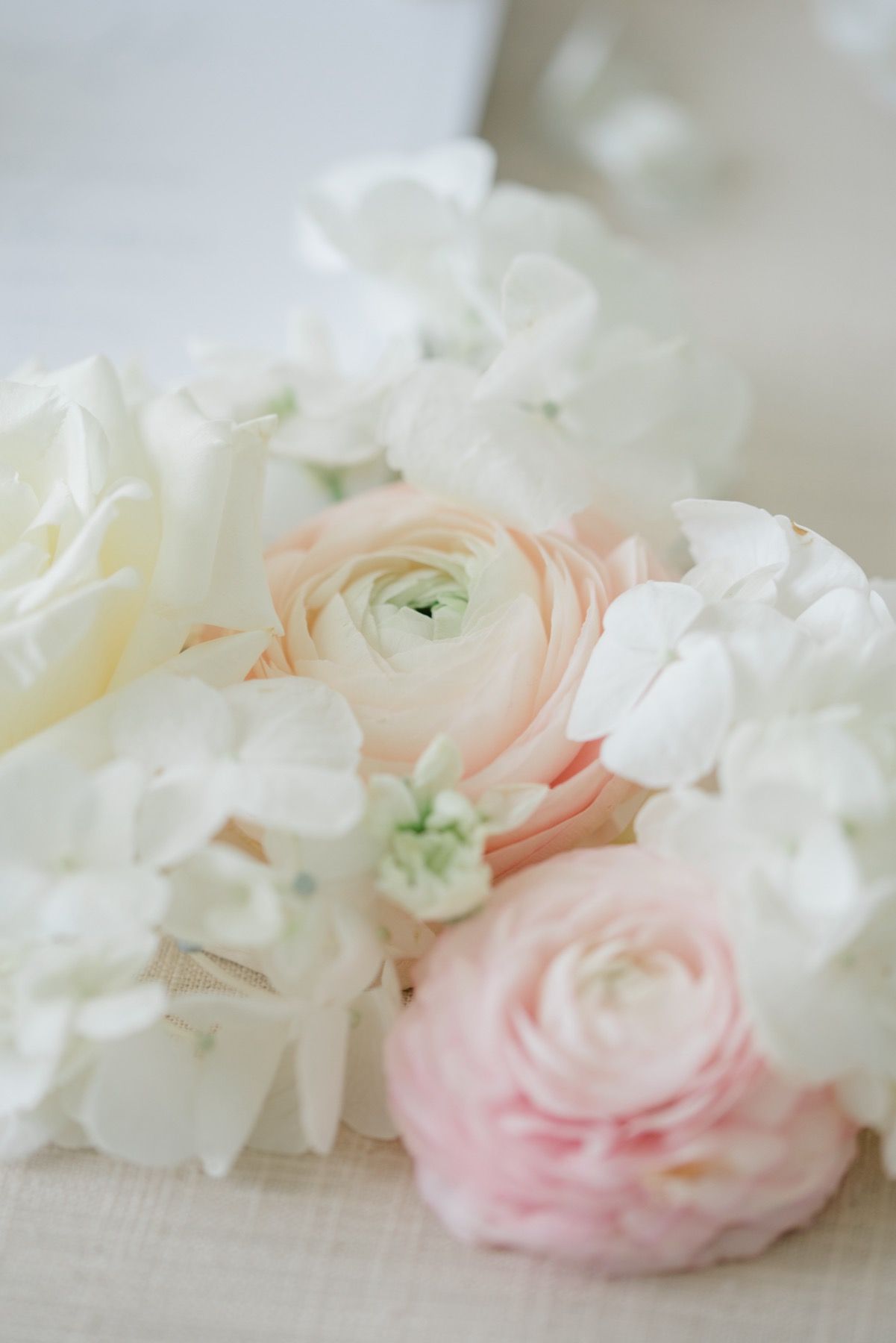 blush ranunculus flat lay columbus ohio