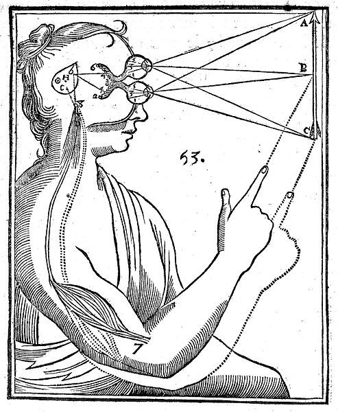 An illustration from Descartes