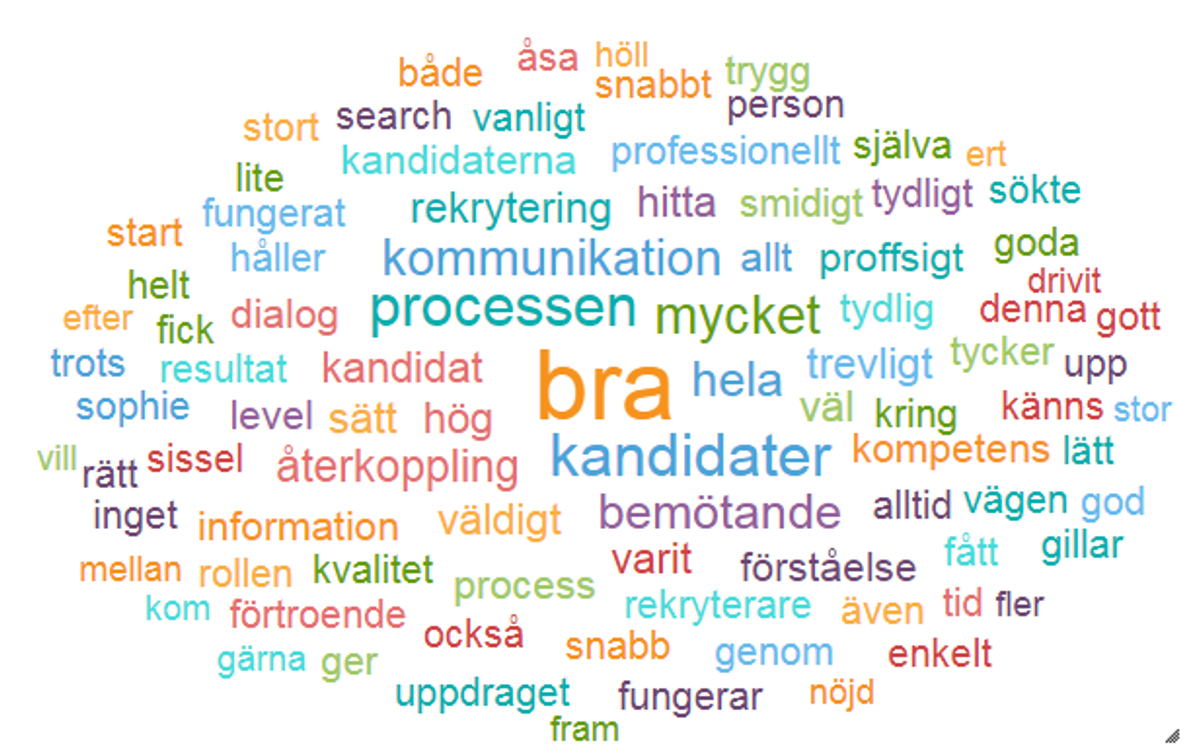 Ordmoln med de vanligaste orden i våra kunders omdömen