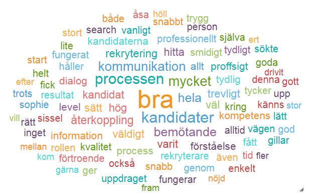Ordmoln med de vanligaste orden i våra kunders omdömen