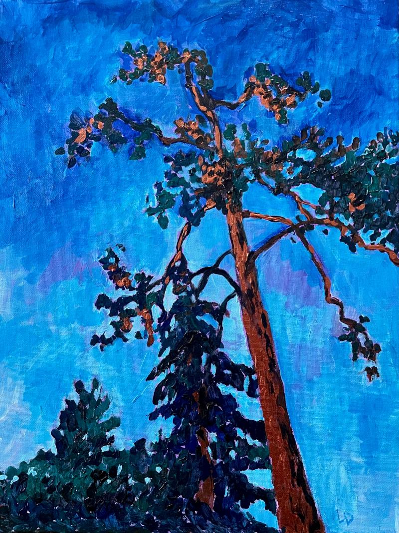 trees against a twilight sky