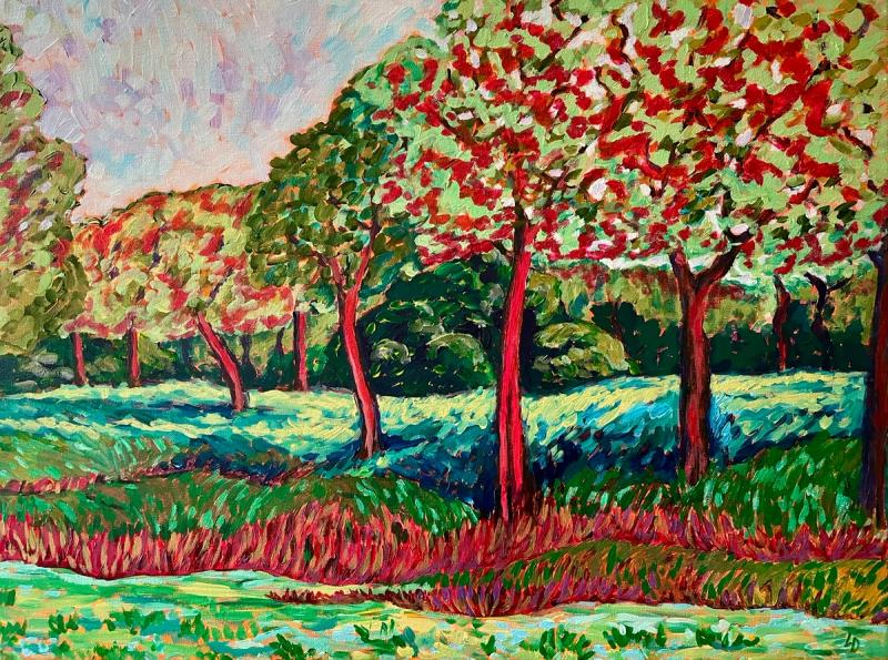 Trees and tall grasses