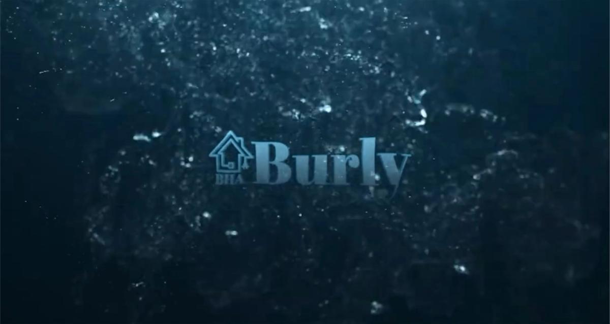 BURLY BLDC EV90