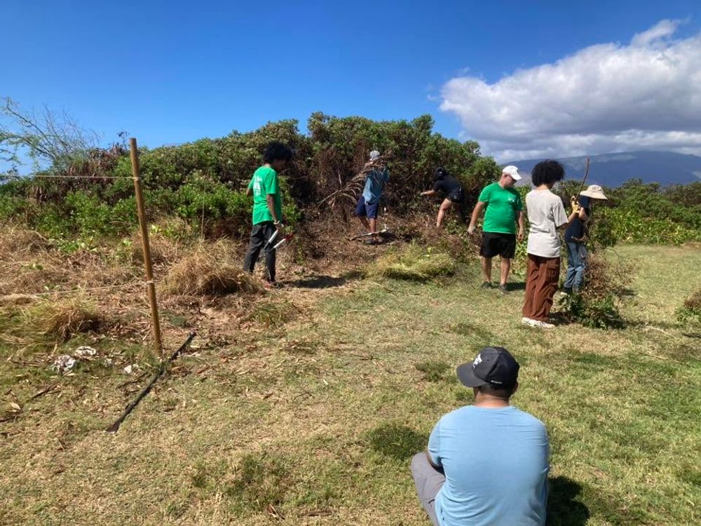 Volunteers clearing brush on hillside