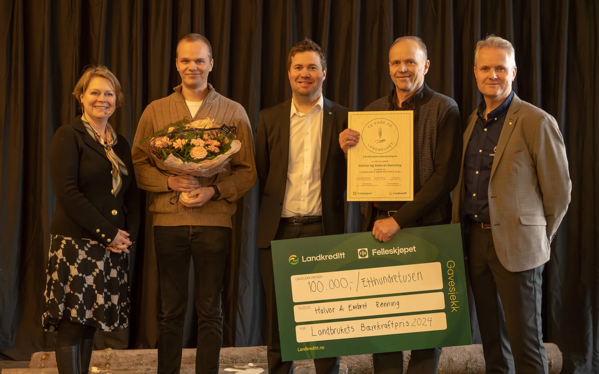 Embret og Halvor Rønning