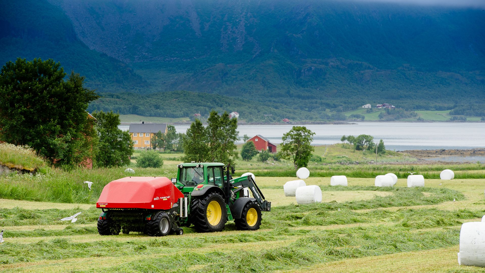 Traktor i norsk fjordlandskap