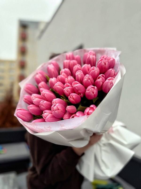 Tulipany różowe