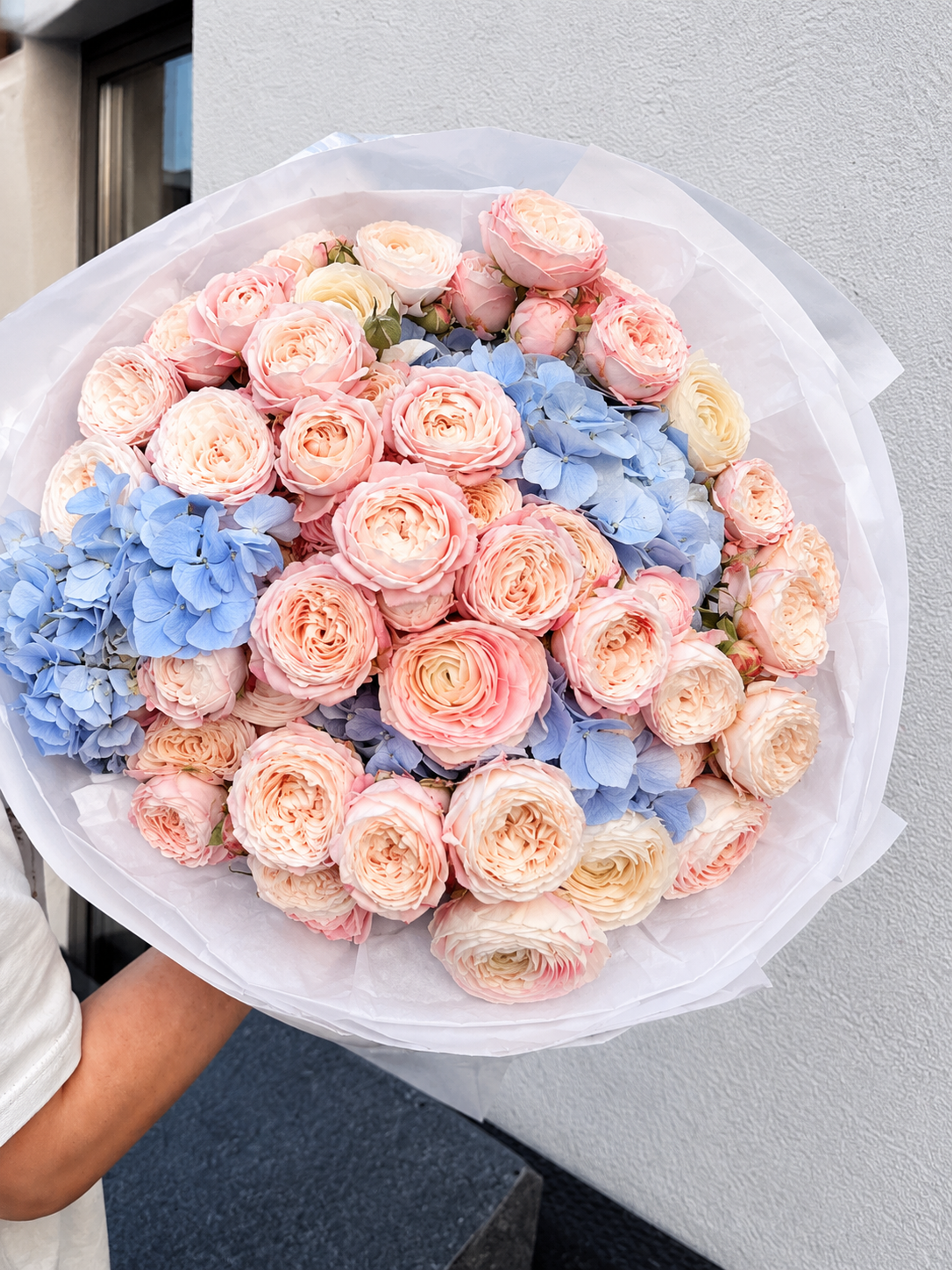 Peony roses with hydrangea