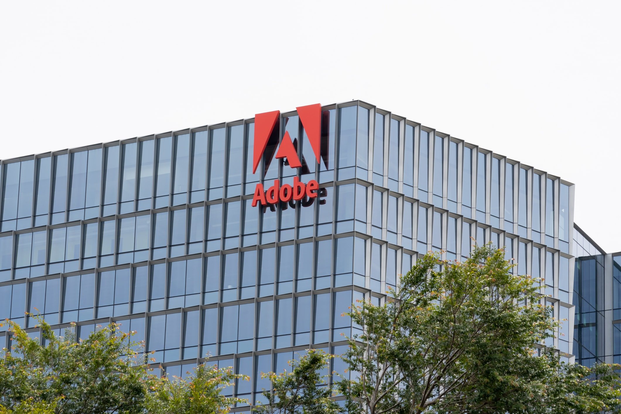 Ist Adobe eine Abofalle? Unser Testbericht 2025