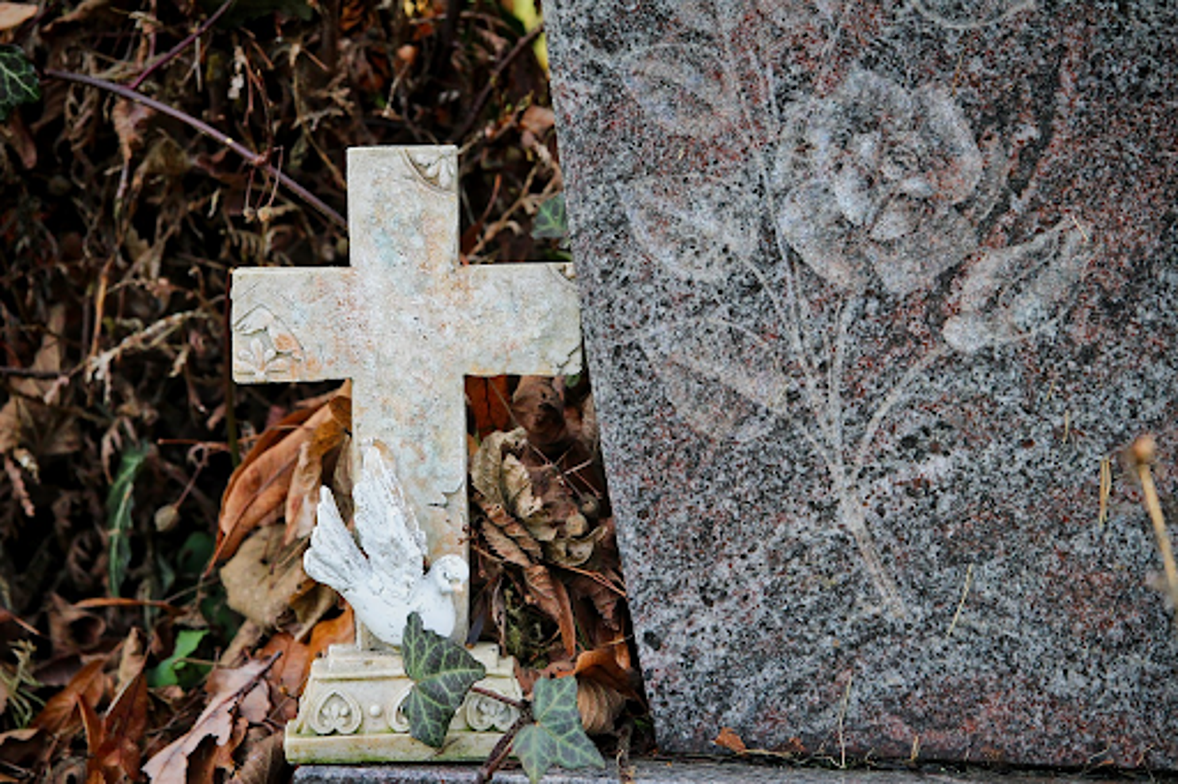 Bestattungskosten im Überblick – Ein Leitfaden zur Vermeidung von Kostenfallen