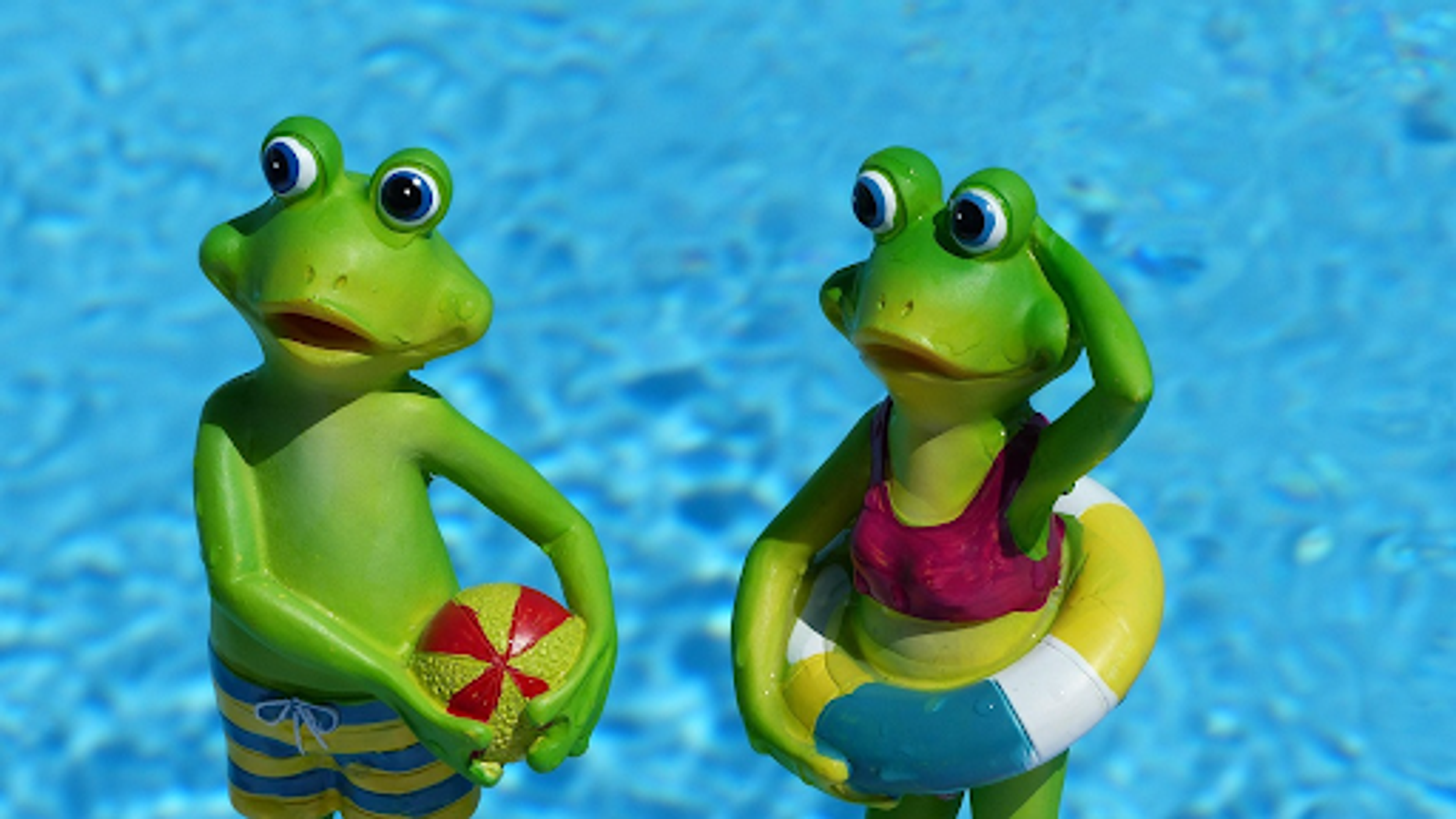 Der eigene Pool – Was Verbraucher beim Bau beachten sollten