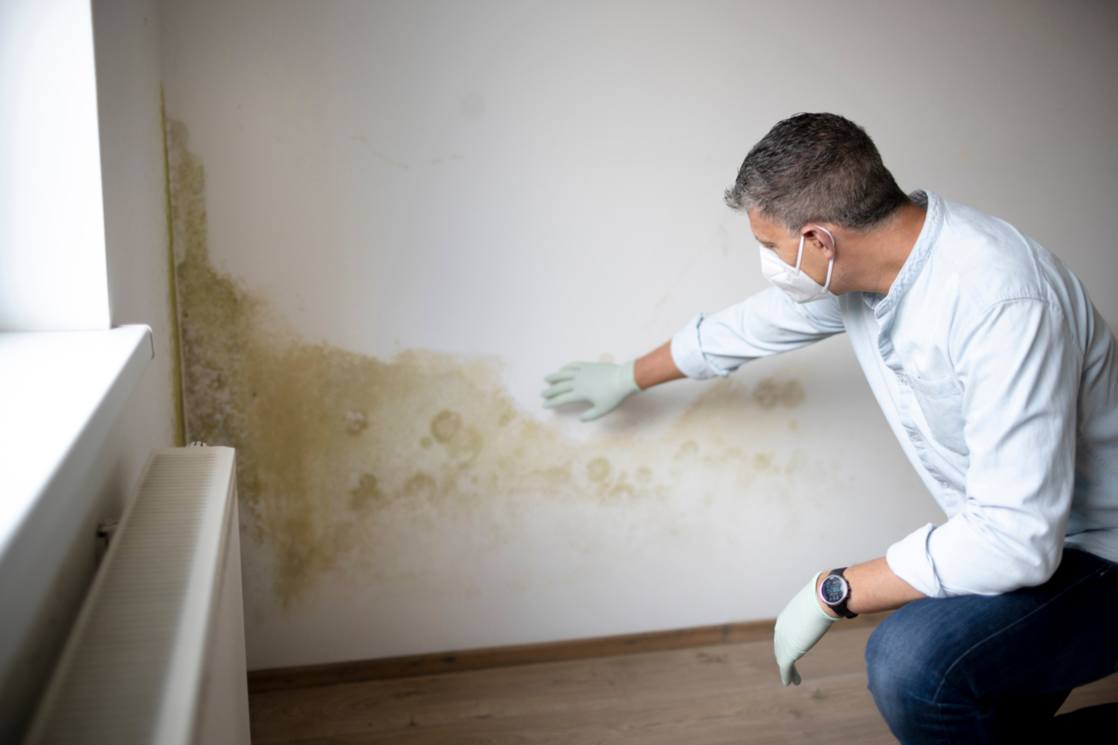 Schimmel nach Wasserschaden: Wer haftet und wie kann man sich schützen?